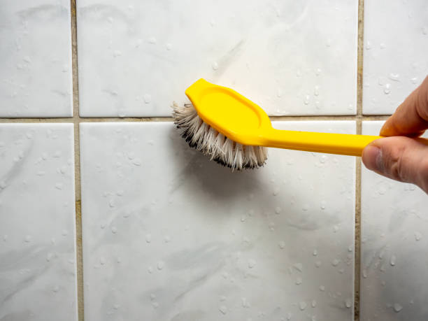 Best Local Mold Removal Service  in Enigma, GA