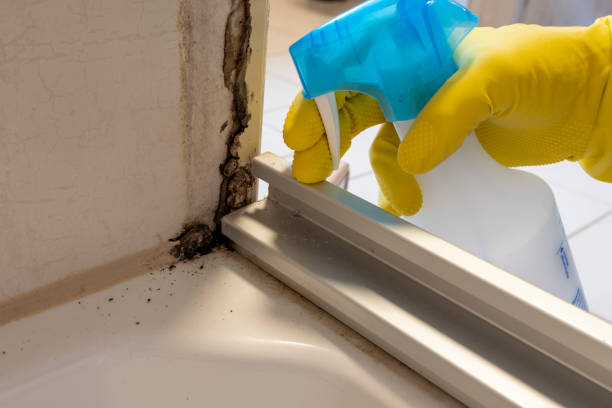 Best Mold Cleaning Services  in Enigma, GA
