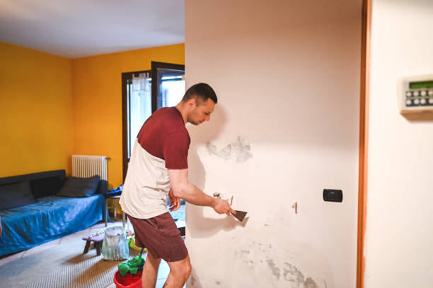Best Same-Day Mold Removal  in Enigma, GA